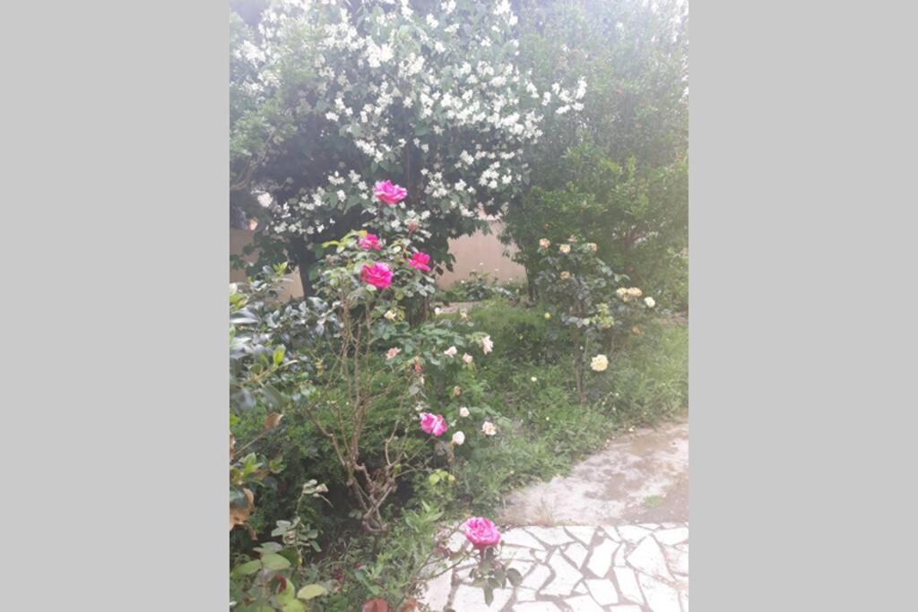 Sauvian Villa 3 Etoiles Pres Des Plages, Parking, Wifi, Clim מראה חיצוני תמונה